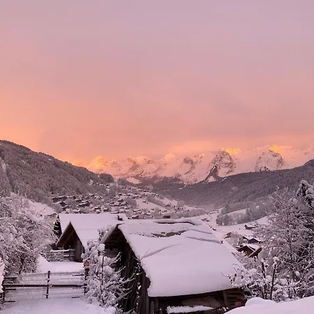 Le Rucher De La Vignette Le Grand-Bornand Extérieur photo